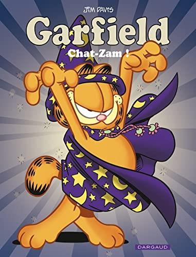 Garfield - t 66