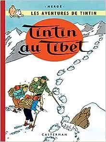 Tintin - t20